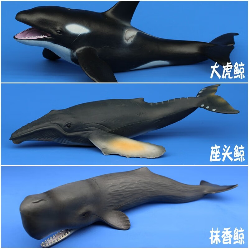 儿童深海鲸鱼玩具仿真动物模型大号套装鲨鱼海洋生物认知科普摆饰 虎鲸+座头鲸+抹香鲸