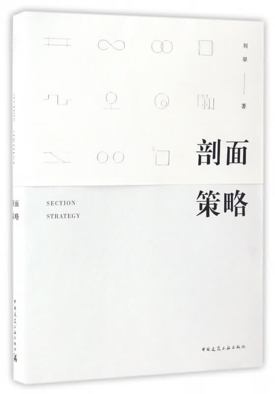 剖面策略