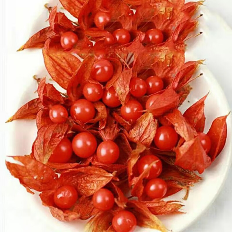 红姑娘灯笼果种子东北红果酸浆甜金锦灯笼果籽味甜春秋蔬菜种孑 红菇