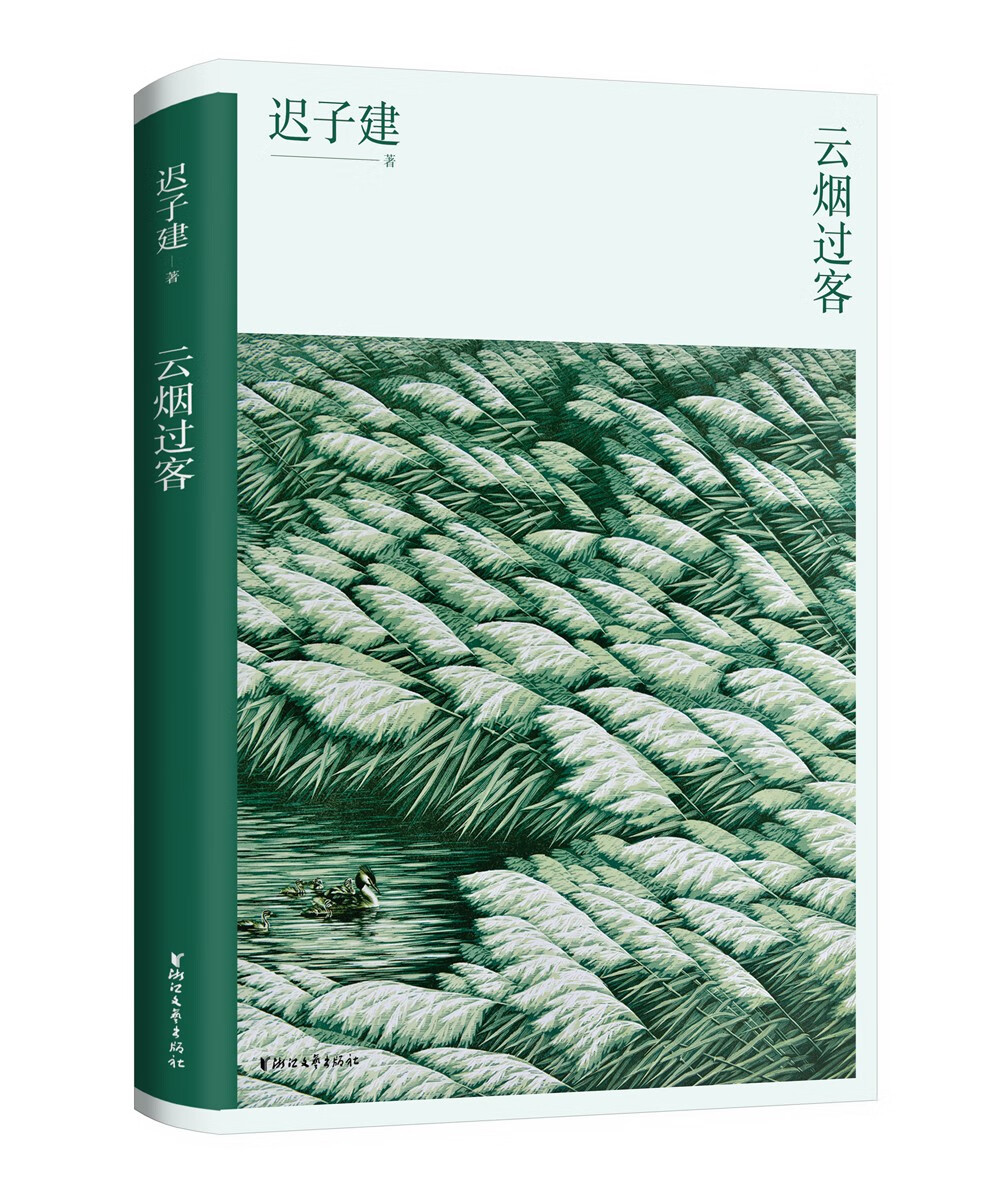 云烟过客（迟子建散文系列）怎么样,好用不?