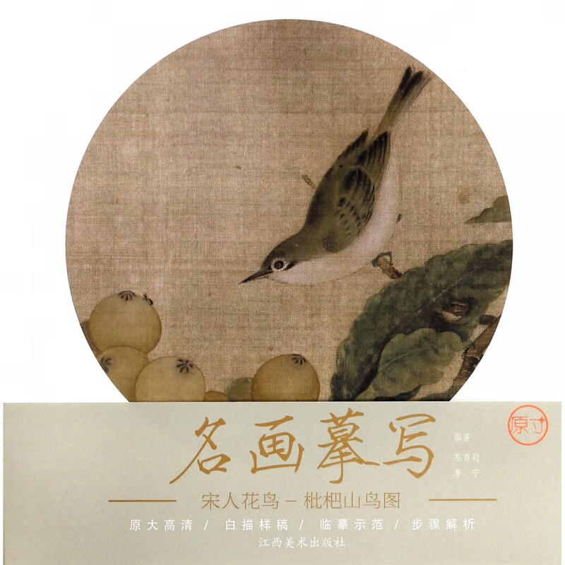 宋人花鸟(枇杷山鸟图)/名画摹写