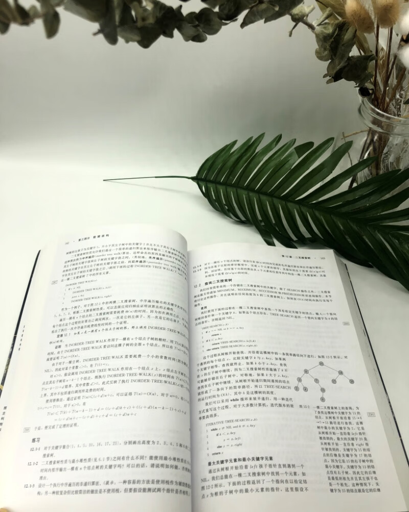 算法导论(原书第3版)/计算机科学丛书