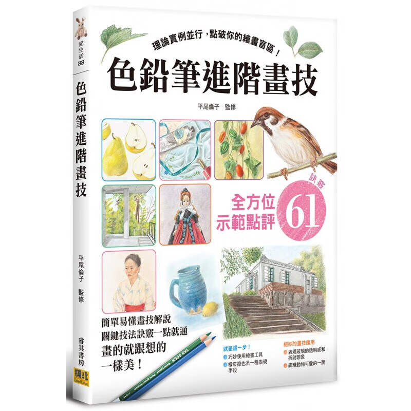 预订台版 色铅笔进阶画技 理论实例并行点破你的绘画盲区从工具草稿上色到实例的进阶技巧与