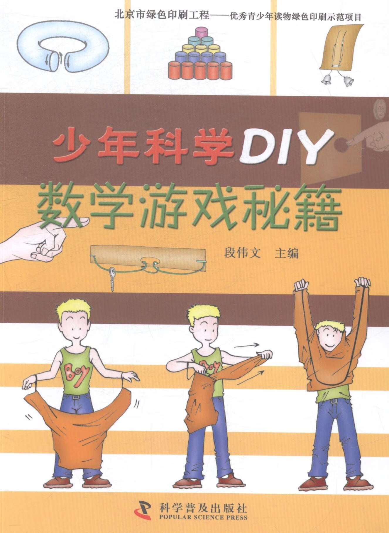 数学游戏秘籍 段伟文 童书 9787110086421