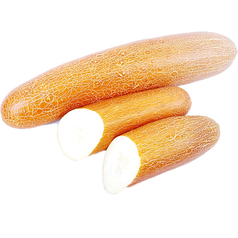 种菜记 麻皮老黄瓜种子东北麻皮老品种大黄皮黄瓜种籽黄瓜种农家蔬菜