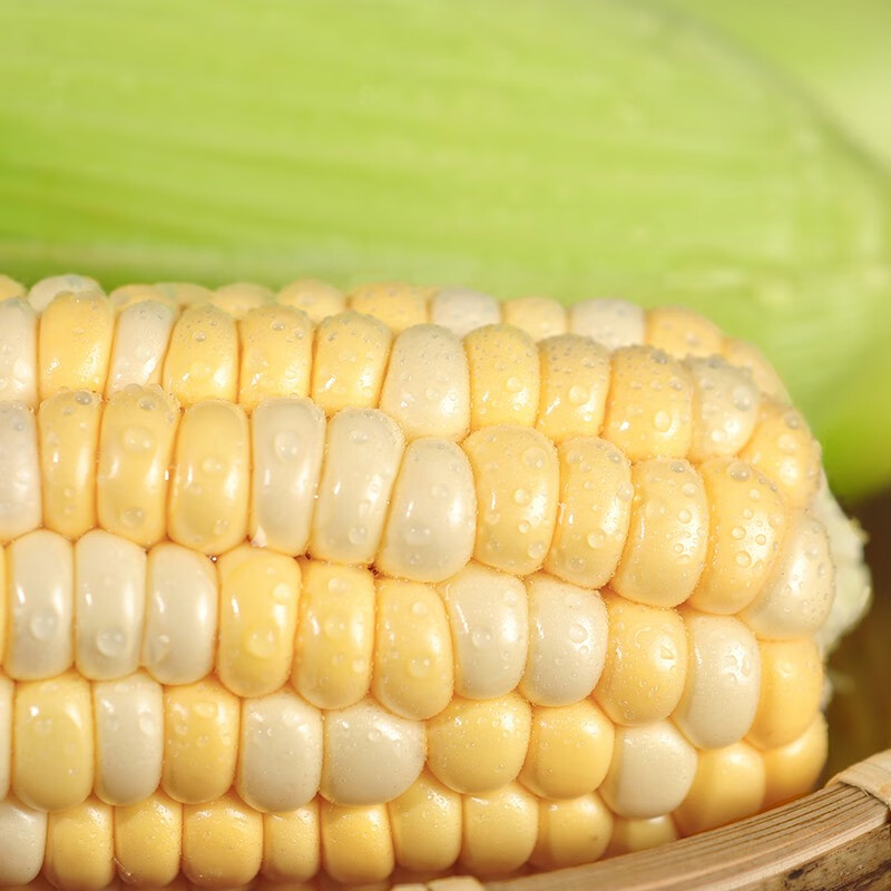 中鲜生云南水果玉米 新鲜甜玉米 现摘玉米棒 生鲜蔬菜可生吃火锅食材 净重5斤 甄选品质 I 金银水果玉米【约5-8根】