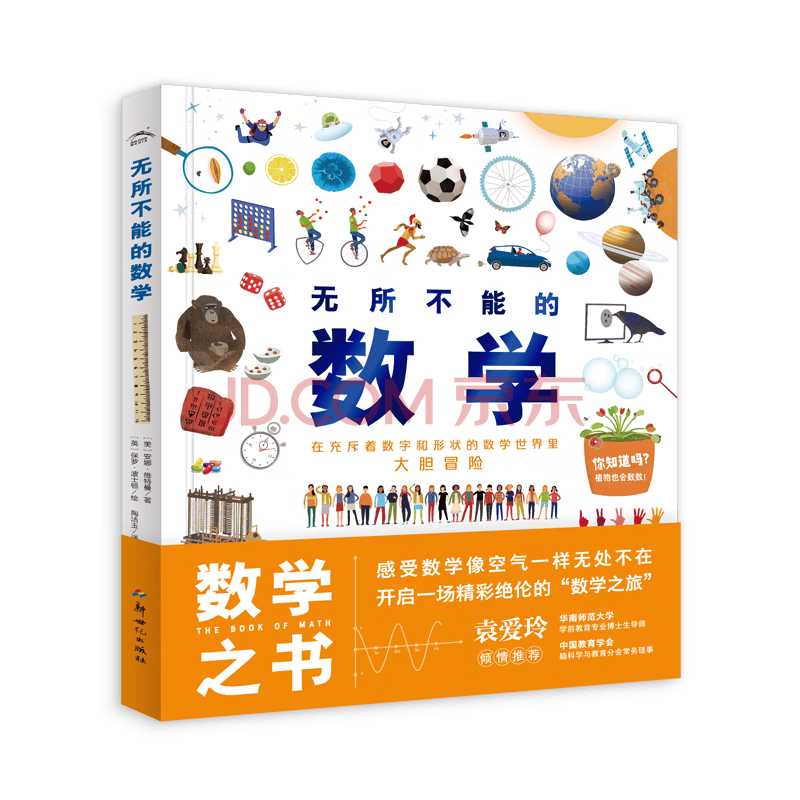 【精装】无所不能的数学之书小学二-六年级 人教版 数学知识点课外提高兴趣培养书籍