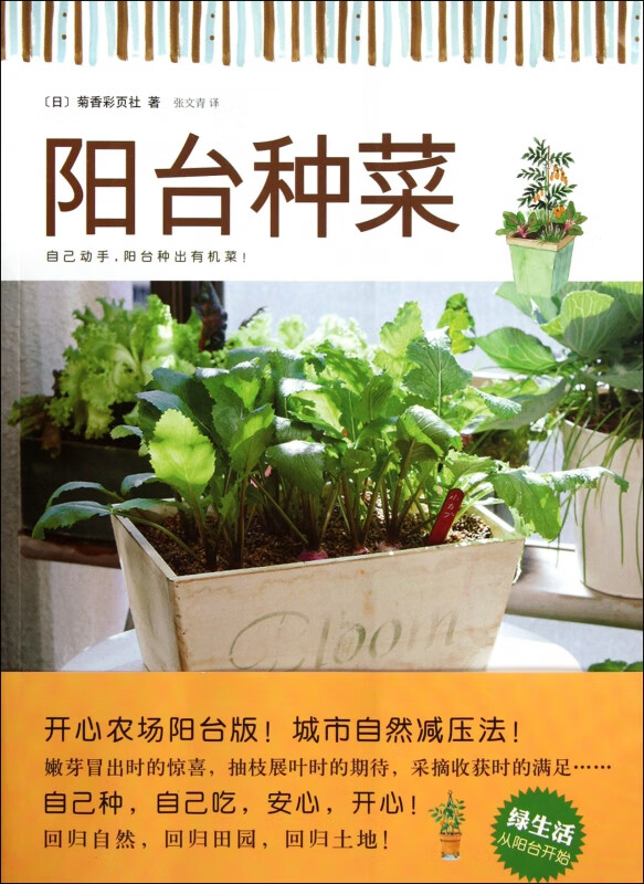 阳台种菜