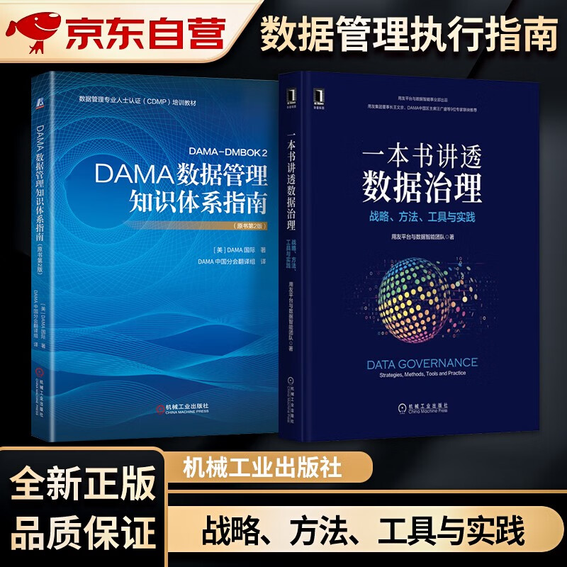 DAMA数据管理知识体系指南（原书第2版）+一本书讲透数据治理：战略、方法、工具与实践2本