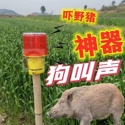 曼影(manying)夜间驱兽带闪光防野猪吓野猪的神器报警器驱赶器喇叭