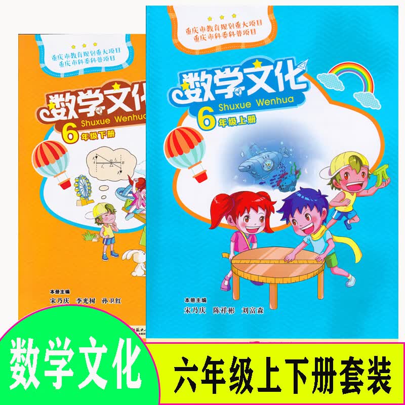 数学文化读本 六年级上下册 两本套装 宋乃庆西南师范大学出版社xs