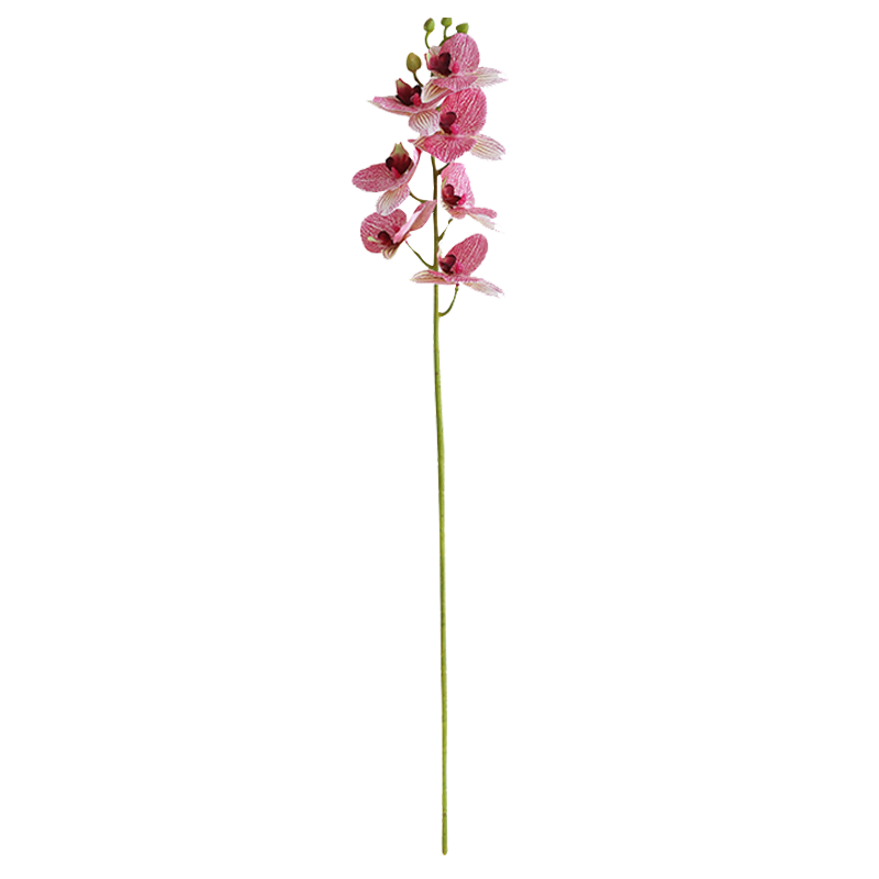 黛莉森3D手感蝴蝶蘭仿真花假花插花客廳餐桌花茶幾室內裝飾擺設花瓶擺件 白色蝴蝶蘭6枝+支架花瓶小號