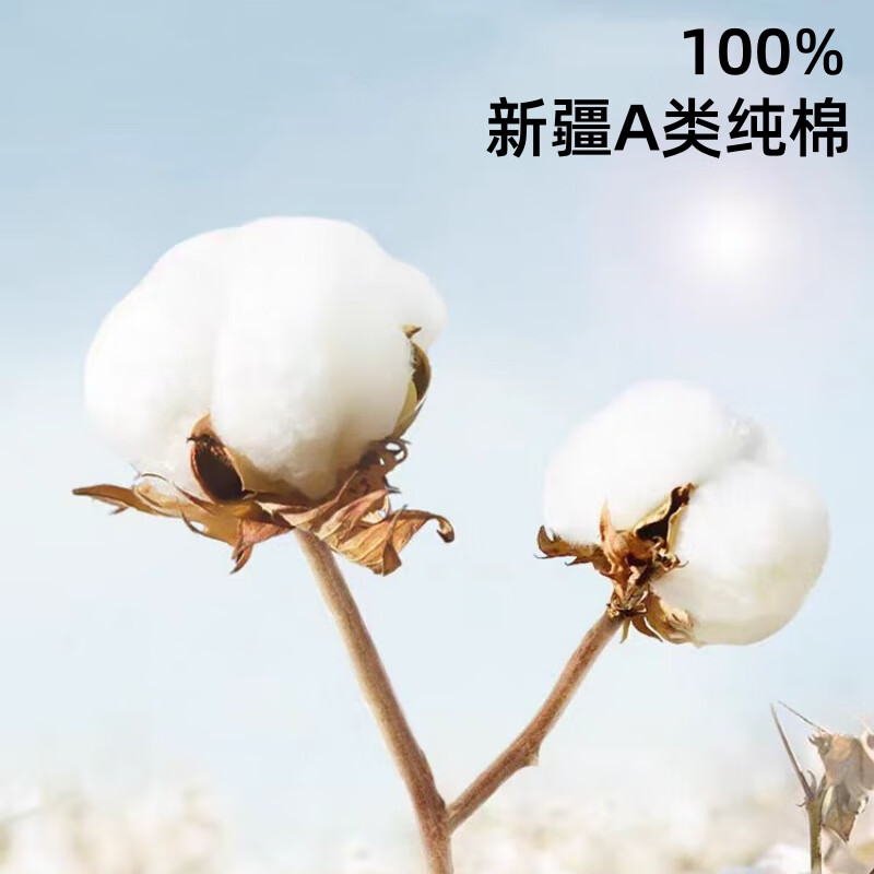 洁丽雅（grace）A类纯棉儿童宝宝纱布口水巾擦汗巾婴幼儿小毛 【海洋世界】30*30cm(五条装)