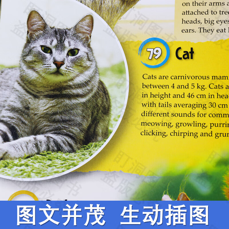 【可点读进口原版正品】儿童科普读物 幼儿英语启蒙绘本 100FACTS 100事实系列  儿童认知百科 英语故事绘本  英文原版 科普百科读物地球简史 动物大百科书籍 100FACTS全套10册