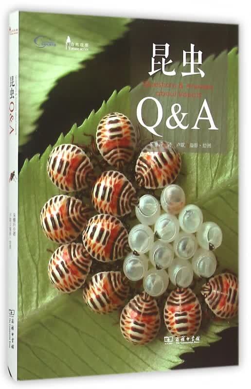 昆虫Q & A(自然观察)