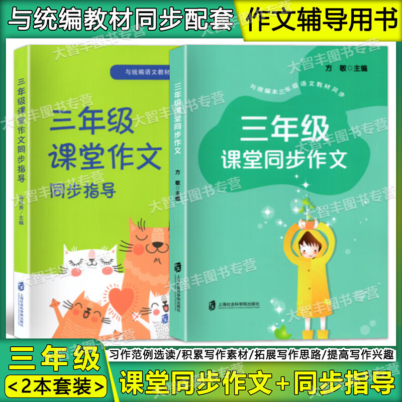 三年级课堂同步作文 作文同步指导2本套装 小学3年级作文 与统编本