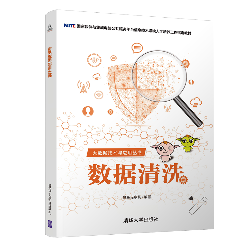 数据清洗/大数据技术与应用丛书
