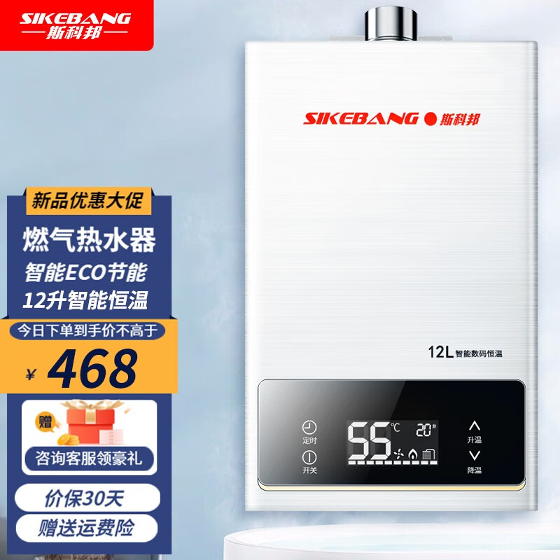 斯科邦(sikebang)强排式燃气热水器 家用节能省气 【12l 欧铂银】变频