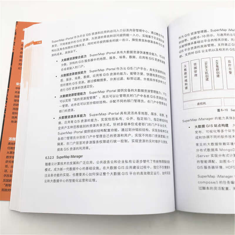 大数据地理信息系统：原理、技术与应用详情图