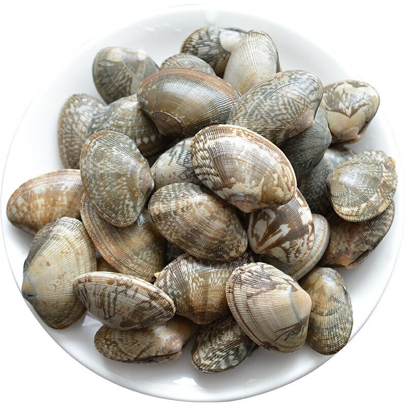 棠鲜生现捕蛤蜊1500g新鲜蚬子花蛤花甲蛤蜊肉干贝类海鲜水产1500g