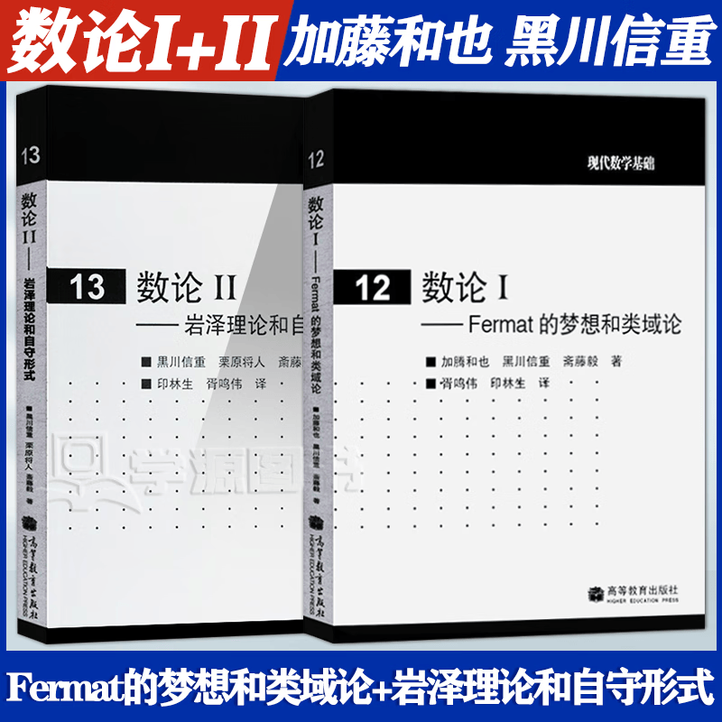 包邮 数论ⅠFermat的梦想和类域论 加藤和也+数论II 岩泽理论和自守形式 黑川信重