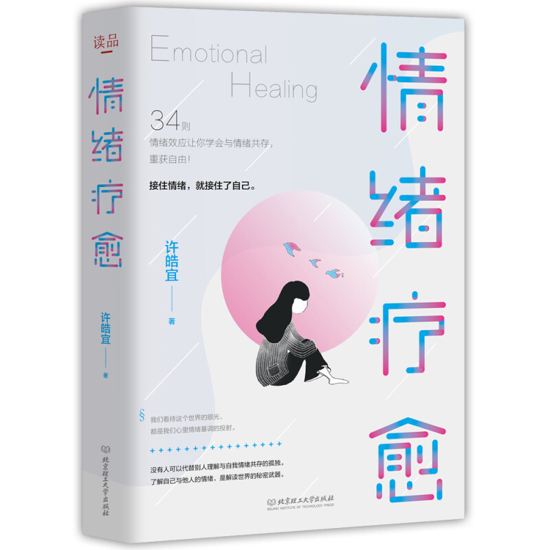 情绪疗愈:抹平内心的伤痕，成为情绪的主人 许皓宜