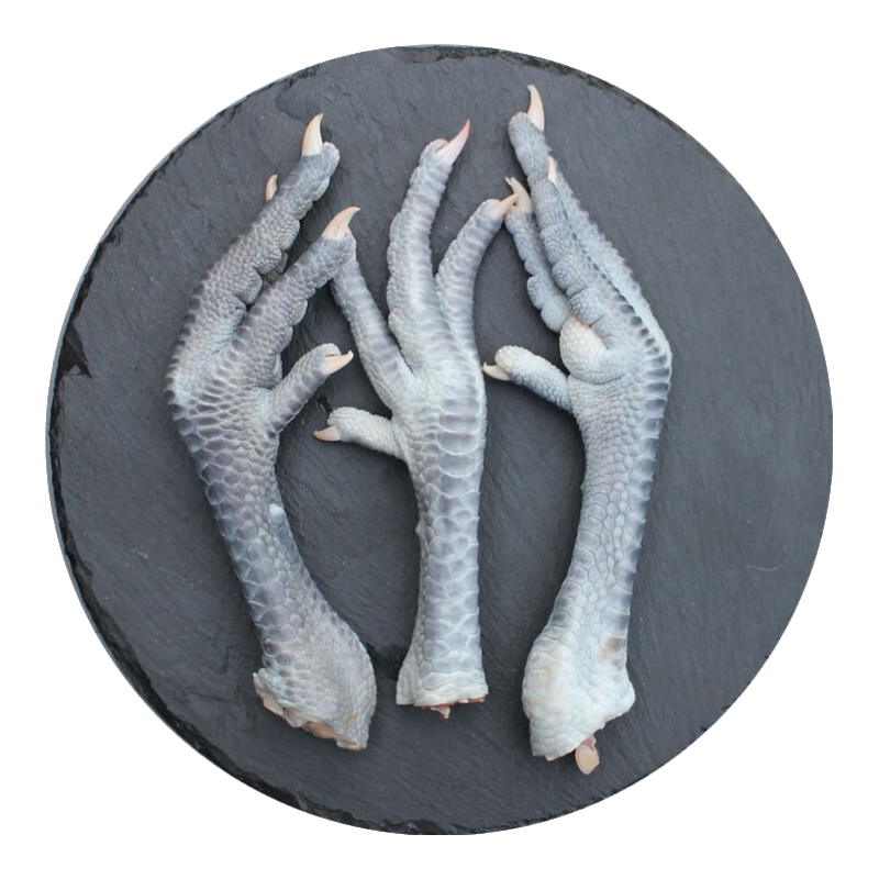 正宗農(nóng)家散養(yǎng)新鮮土雞鳳爪月子老母雞現(xiàn)殺柴雞土雞爪 4斤