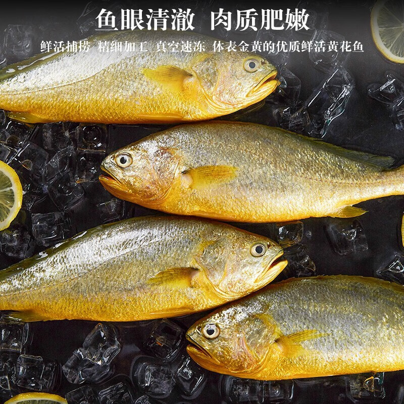 海鲜礼盒海鲜大礼包海产年货礼盒年货节送礼含帝王蟹10种海鲜礼盒 8种海鲜6斤家庭装 含活冻鲍鱼