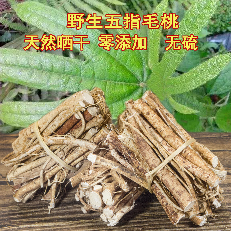 广东五指毛桃根五i爪龙泡酒 无硫材料500克