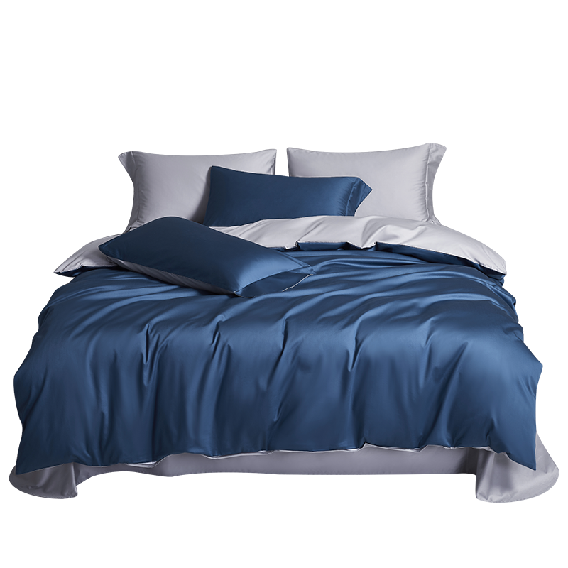 AIDLI 床上四件套A类100支纯棉长绒棉被套床单被罩双人全棉套件 贝洛-星辰蓝 200*230cm床单款