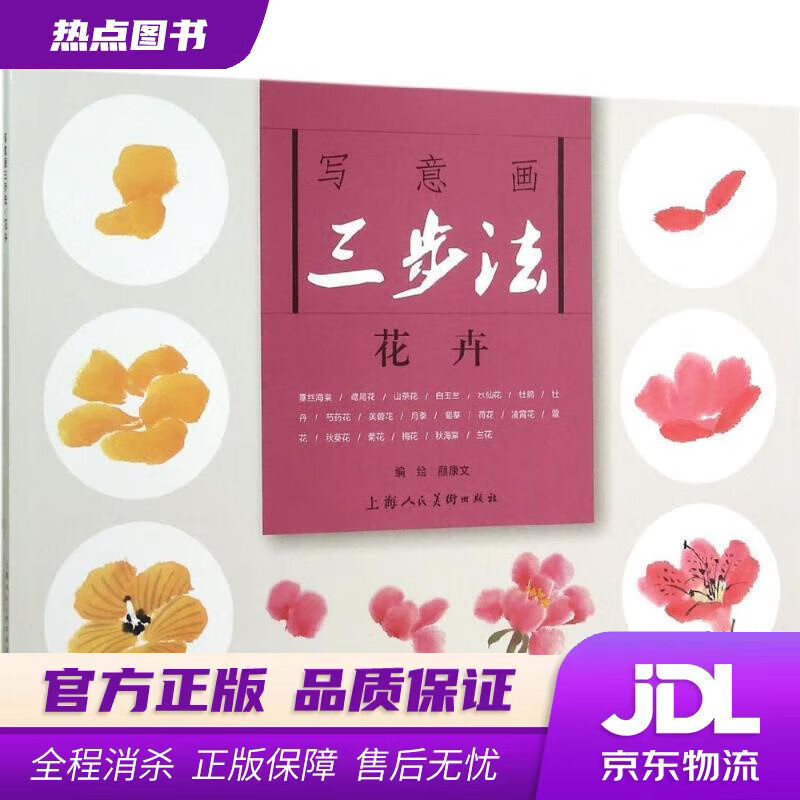 花卉写意画三步法 颜康文