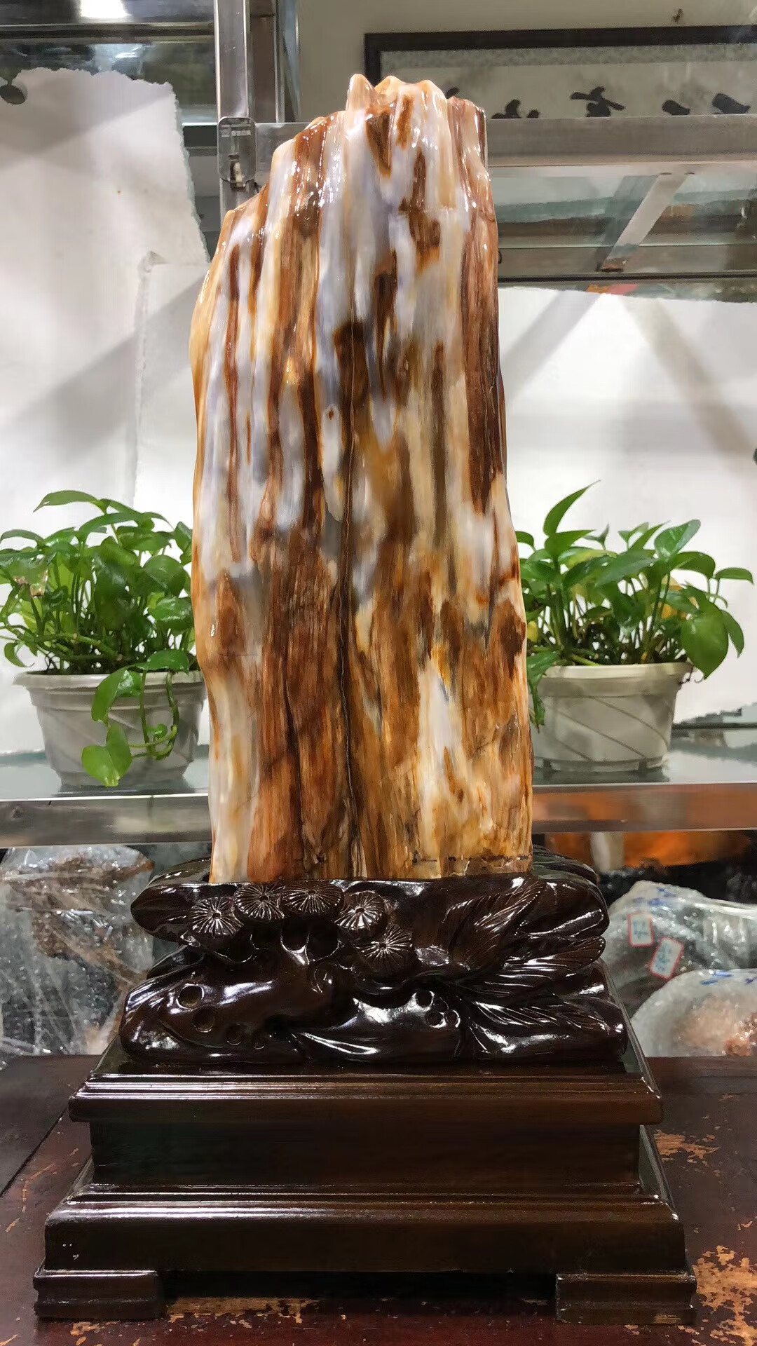 送客户奇石摆件观赏石缅甸树化玉原石硅化木奇石收藏木化石客厅装饰