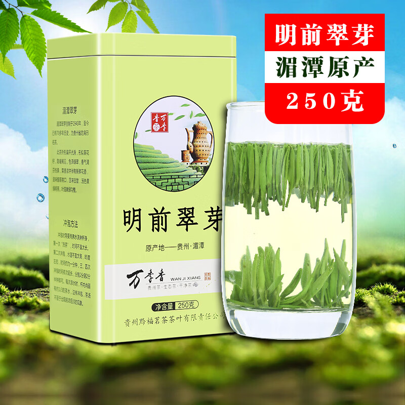 万季香湄潭翠芽2024新茶贵州雀舌遵义明前特级炒青绿茶250克清香型