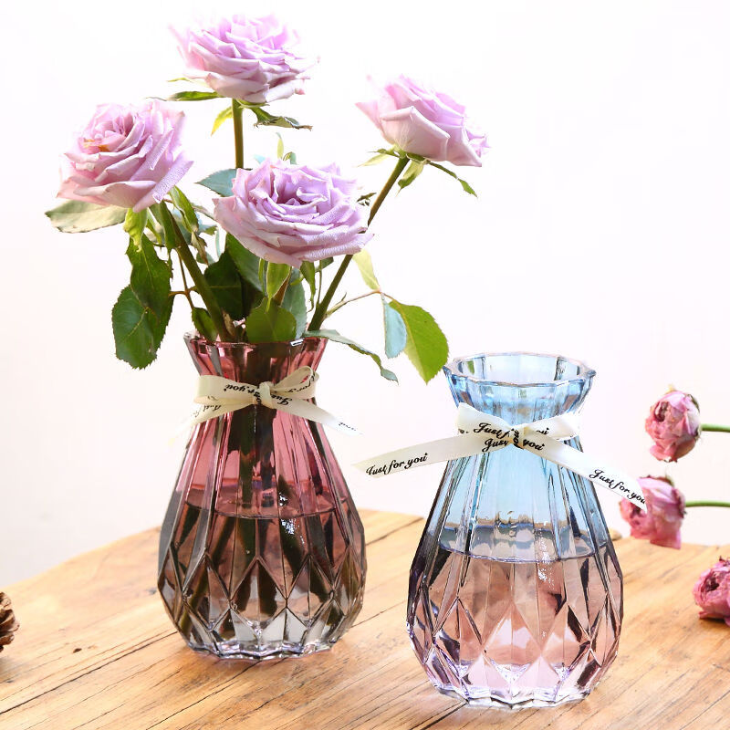 欧式创意玻璃花瓶透明水培绿萝植物玻璃花瓶家用插花客厅装饰摆件 渐变15折纸【蓝紫+红灰】2个