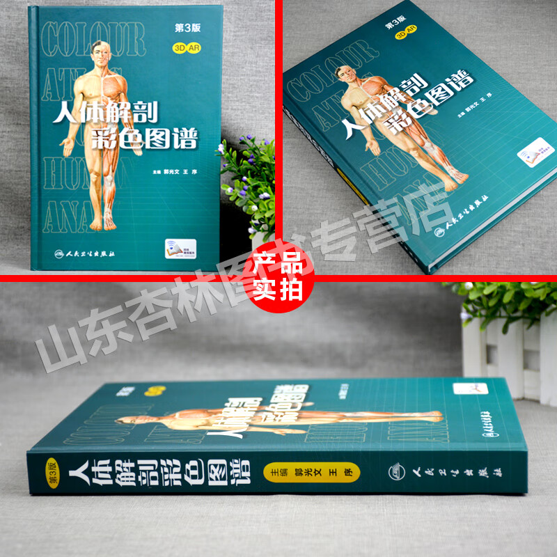 人体解剖彩色学图谱 第三版第3版新版郭光文3d搭奈特医学生解剖书外科