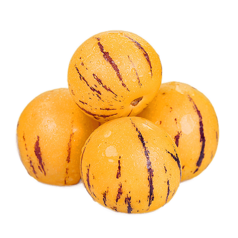 ��ӭ���˲ι� Բ�� 5�� ��ժ����ʯ�������� ����ˮ�� ����