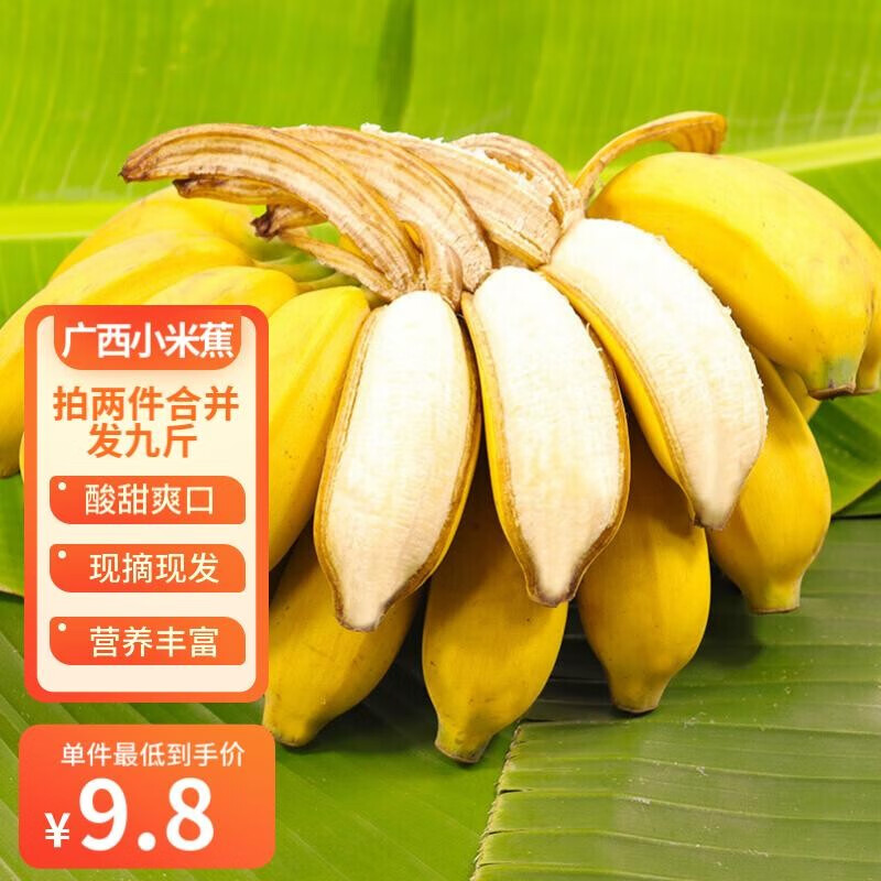 城南堡花小米蕉 现摘广西小香蕉 新鲜水果香蕉 优选仅4.5斤装怎么看?