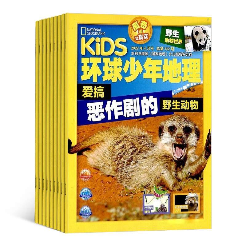 【预订【杂志预计9月发货】环球少年地理杂志订阅 2023年9月起订 1年共12期 杂志铺1-6年级学生少儿科普期刊（先发“杂志订阅清单”）