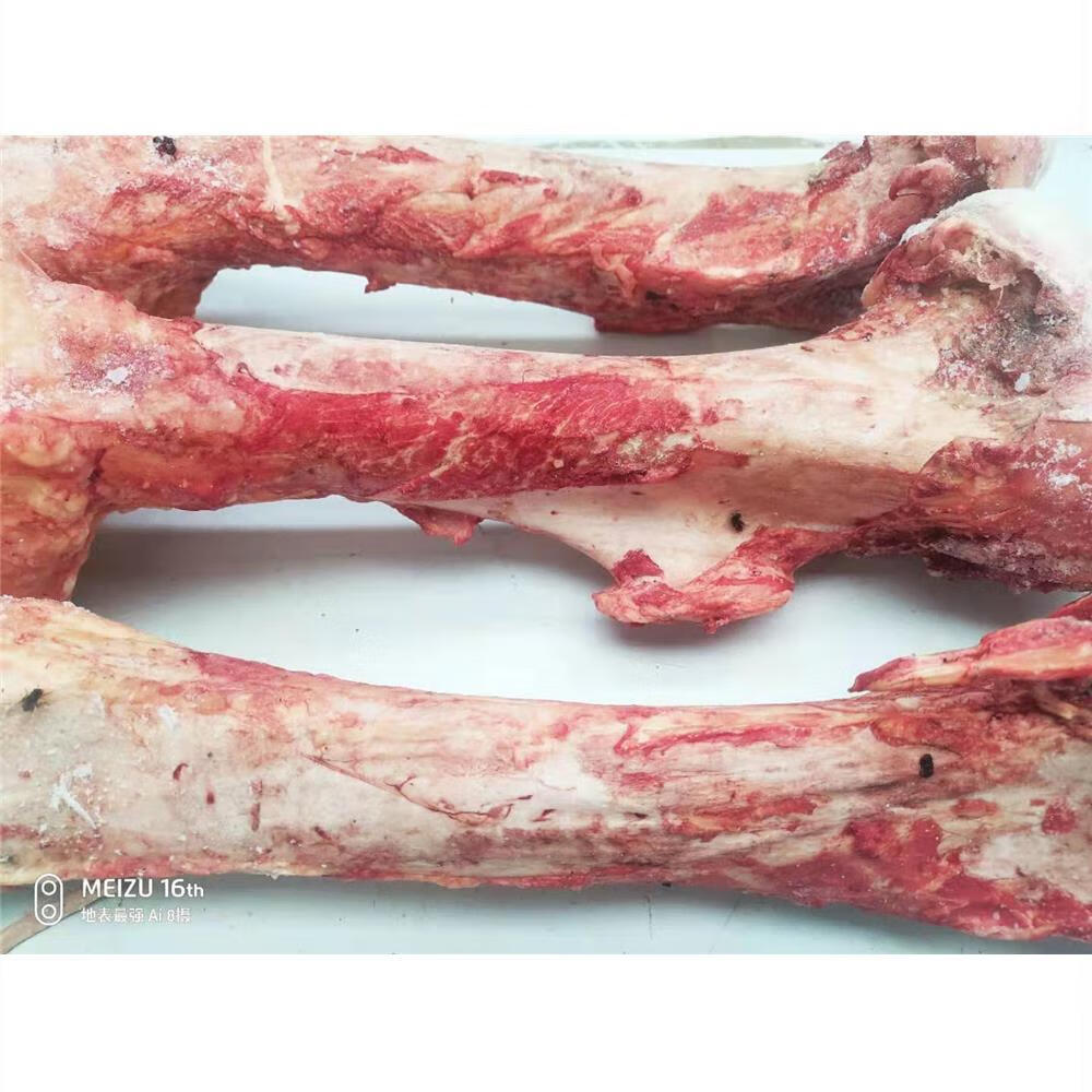 北京同仁堂原材料新鲜现杀 马骨头 大腿骨 棒子骨 腿骨 骨髓多 熬汤用