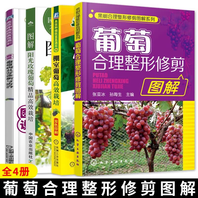 葡萄高效栽培全四册 图解阳光玫瑰葡萄+葡萄合理整形修剪+图说葡萄病虫害诊断与防治+棚室葡萄高效栽培 葡萄高效栽培套装全4册