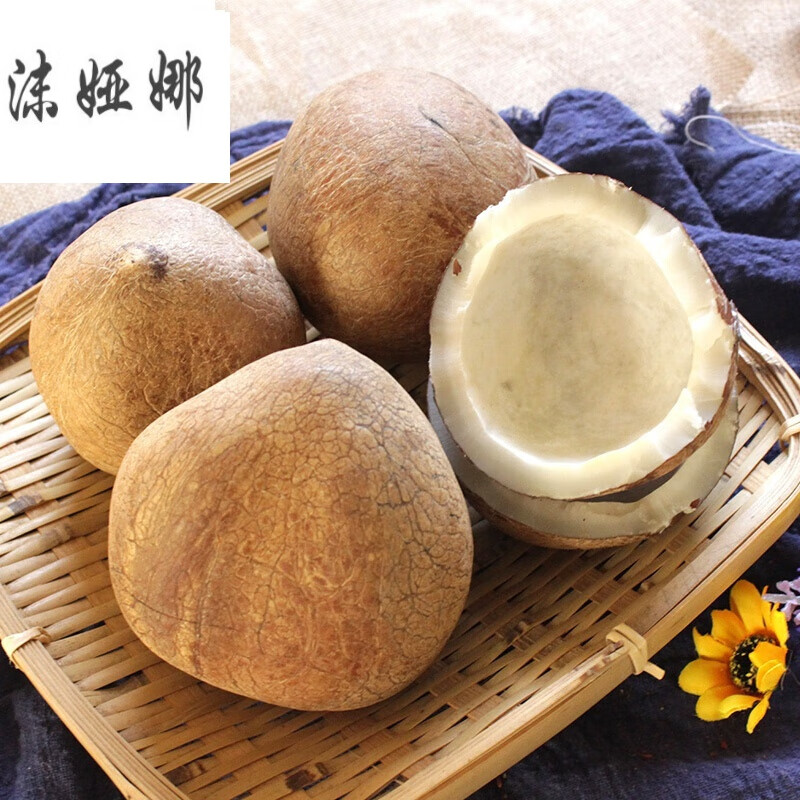 虎钢馋干货印度椰子皇海椰子皇新鲜天然椰青王煲炖汤甜品椰皇1斤装3个