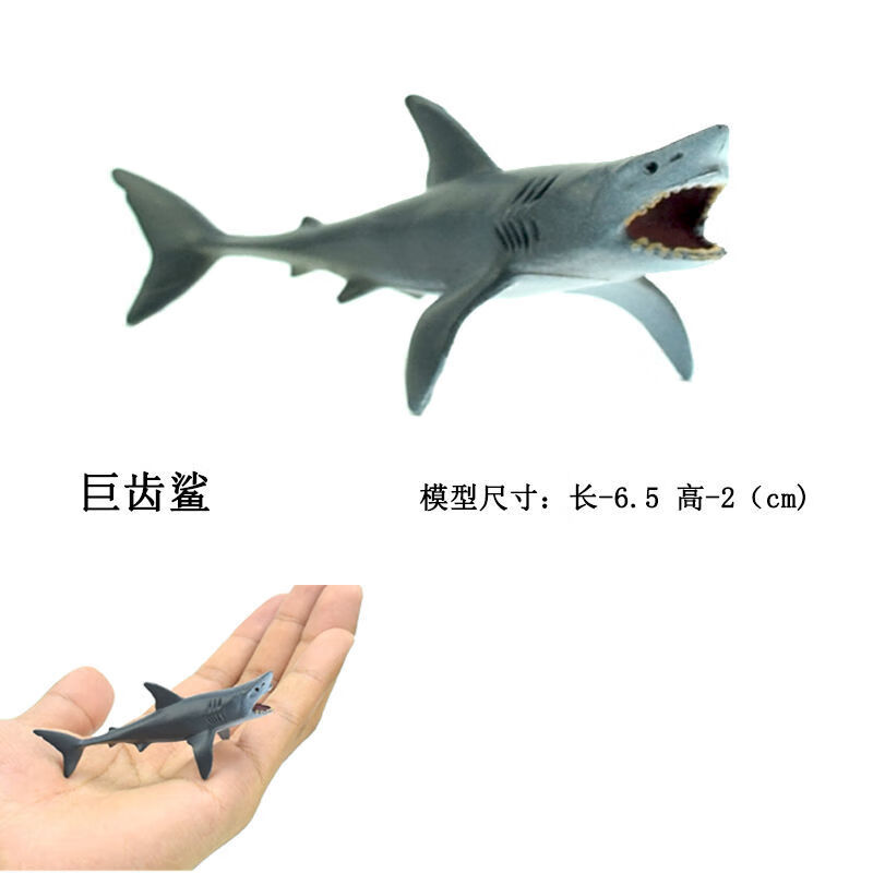 生物模型 仿真动物玩具鲨鱼海豚多肉微景观摆件蛋糕装饰 巨齿鲨(迷你)
