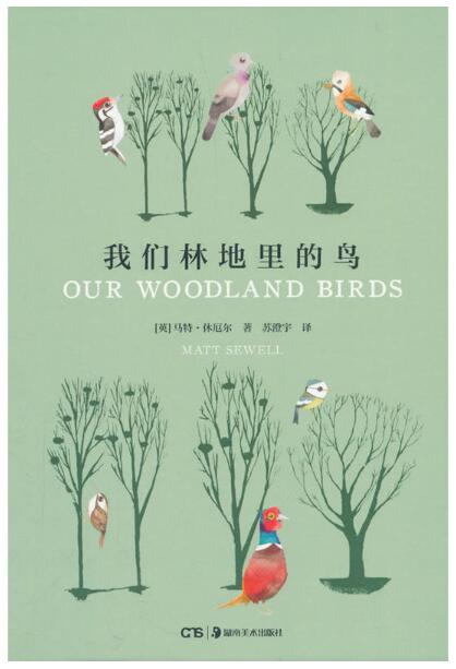 我们林地里的鸟(精)