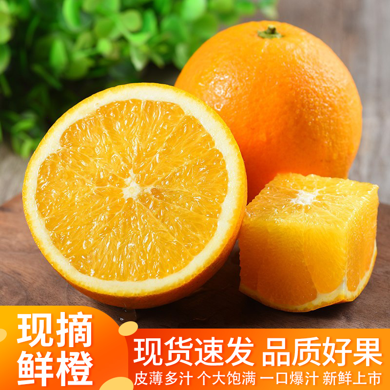新鲜水果橙子血橙脐橙冰糖橙果冻橙 大果【家庭装】鲜脐橙10斤