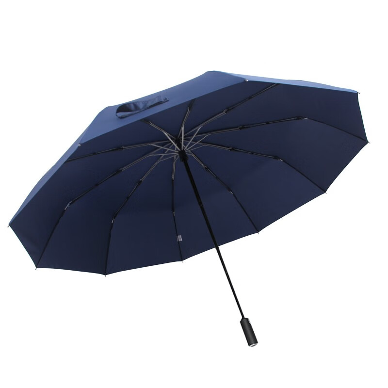 雨景 折叠加固超大雨伞 30寸防风商务折叠伞易甩干男女通用晴雨伞 十骨自动款-135CM-蓝色