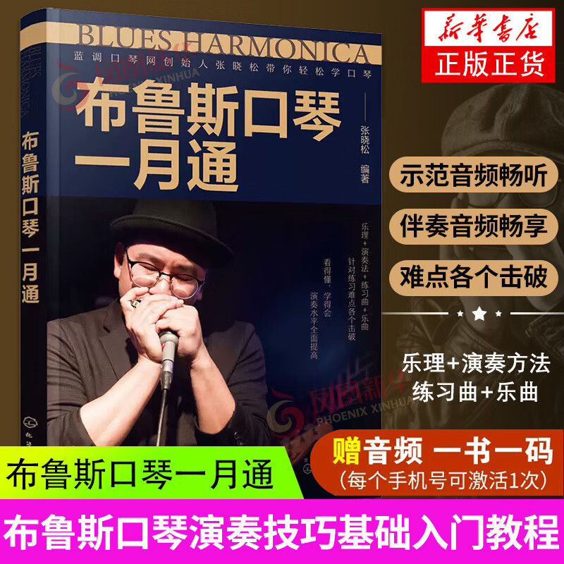 赠音频 布鲁斯口琴一月通 张晓松 布鲁斯