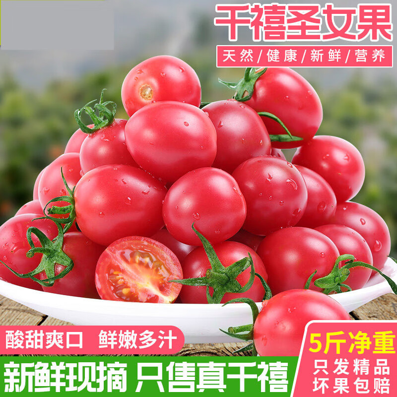 宗正山东玲珑千禧圣女果超甜小番茄千玺西红柿柿子小颗粒水果5斤 3斤