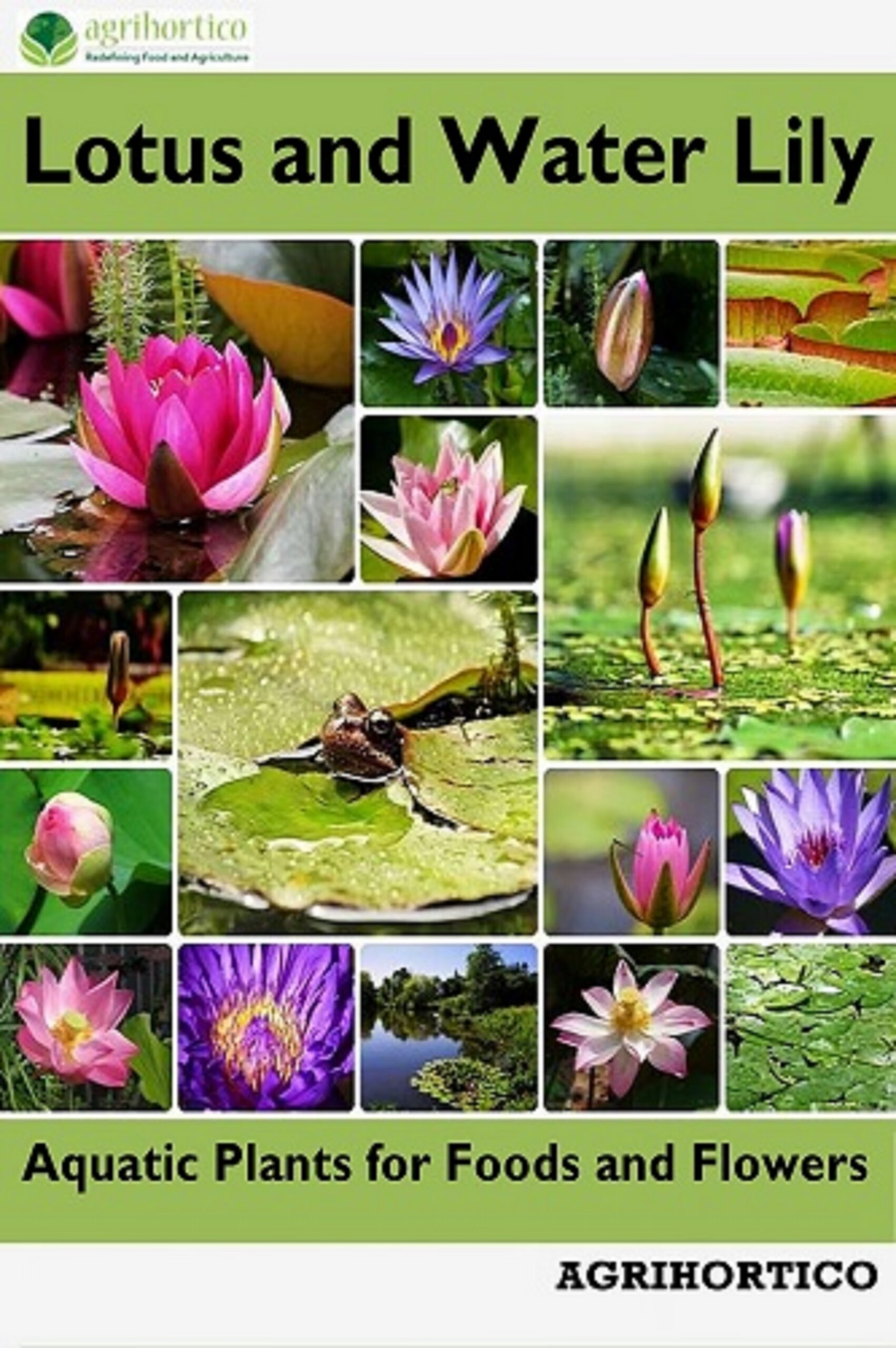 lotus plant,lotusnotes lotus and water lily: aquatic plants for foods and flowers
