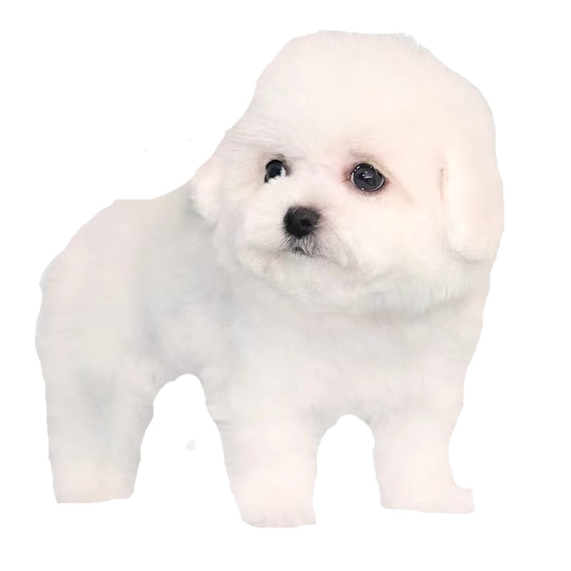 ֮ǴֱȮȮ˫Ѫë΢Цʹɫܻﹷ Ｖ 1500Ԫ