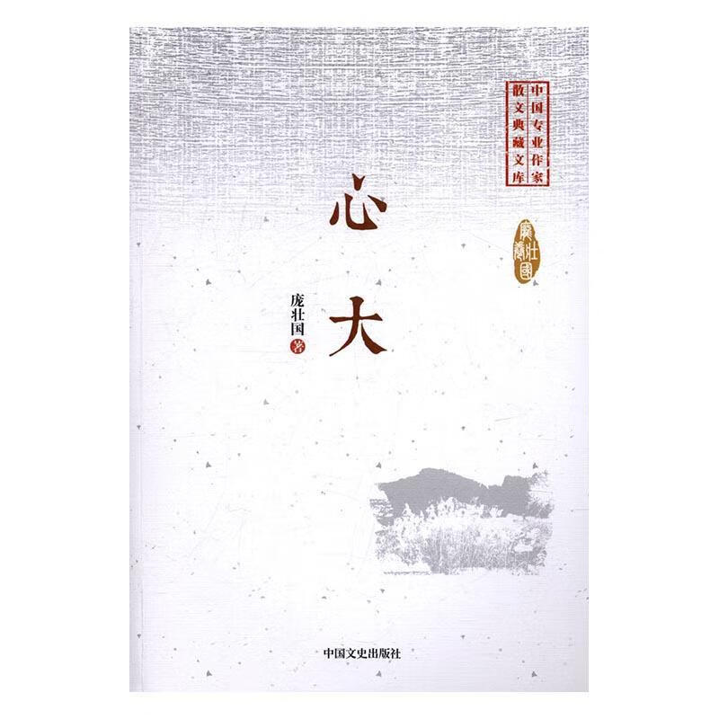 心大  文学  庞壮国  中国文史出版社  9787503483967